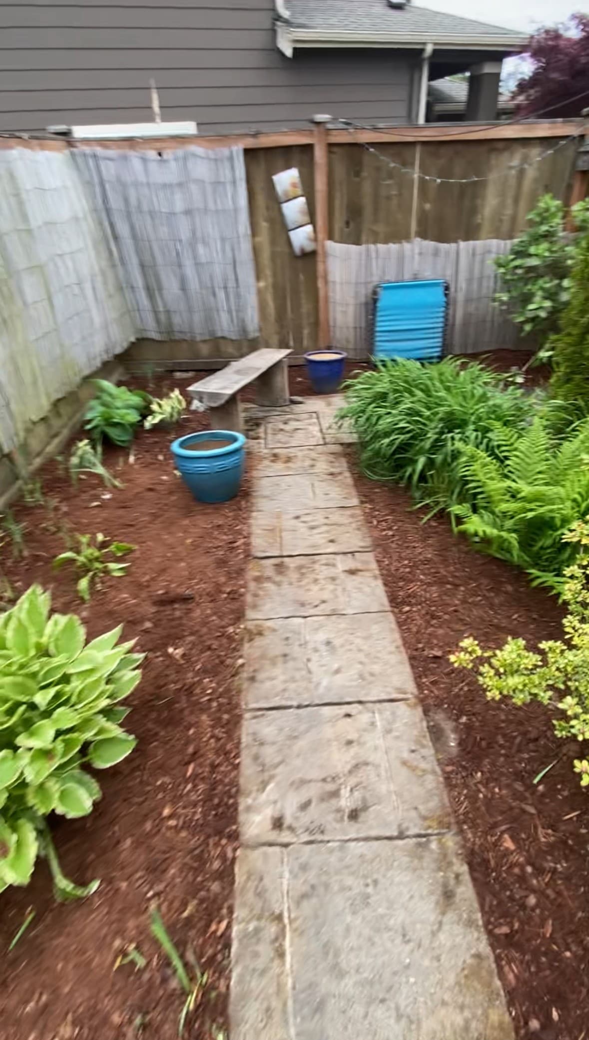 After: Backyard Transformation