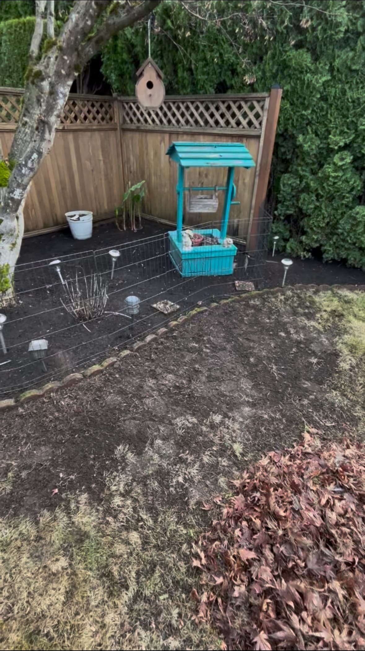 After: Lawn Restoration