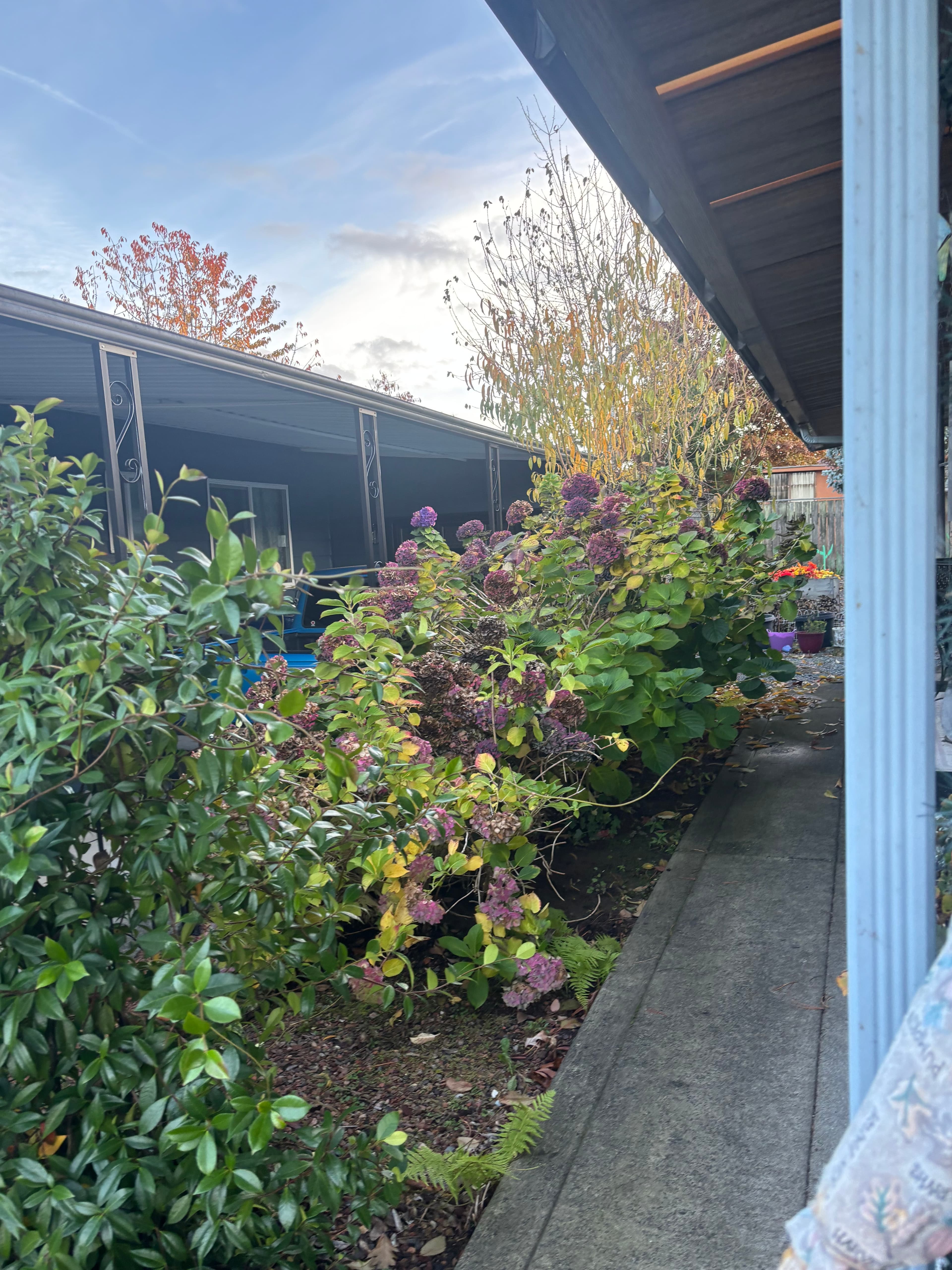 Completed landscaping project