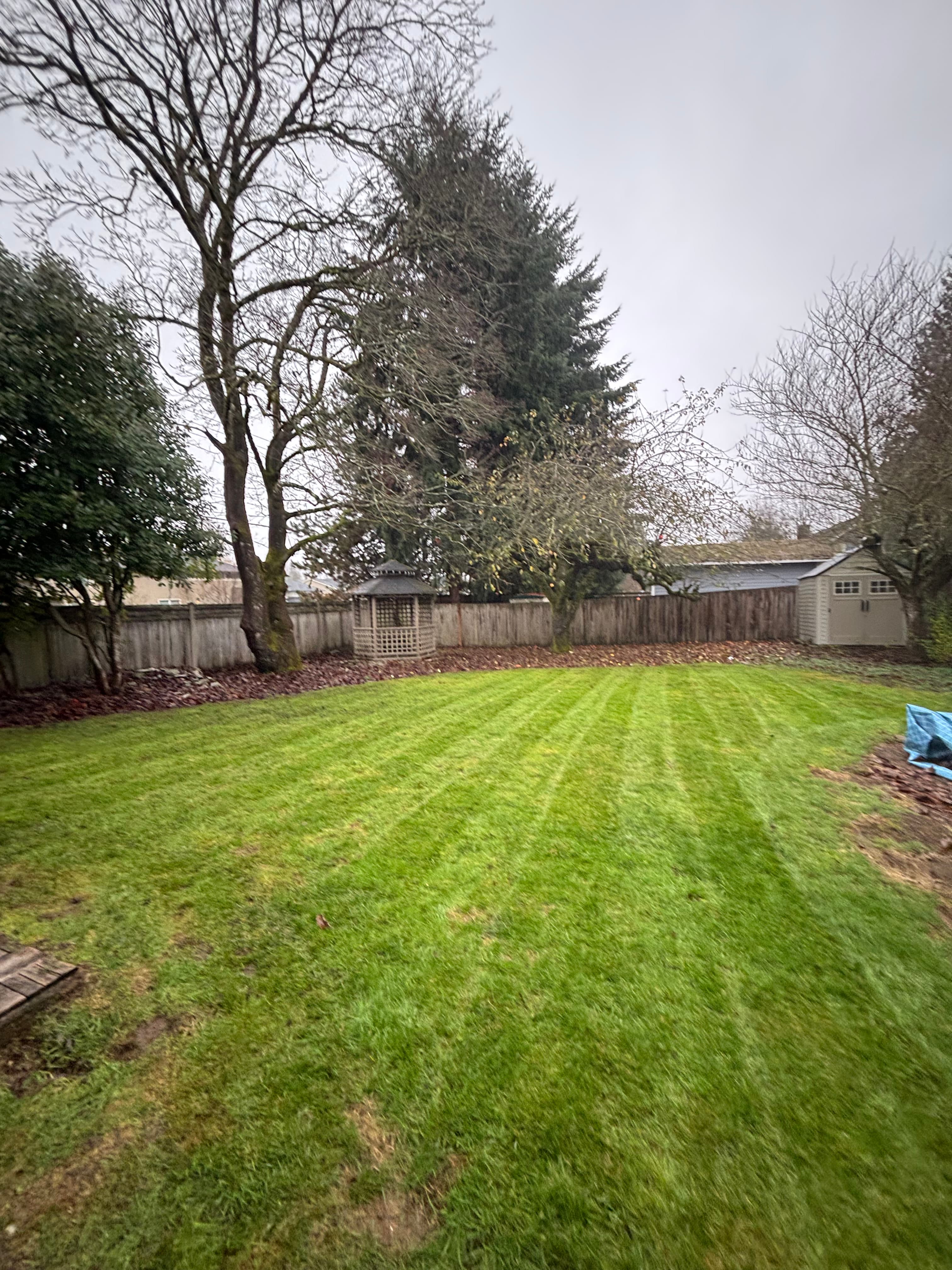 Lawn Mowing | residential lawn care service in Renton, WA
