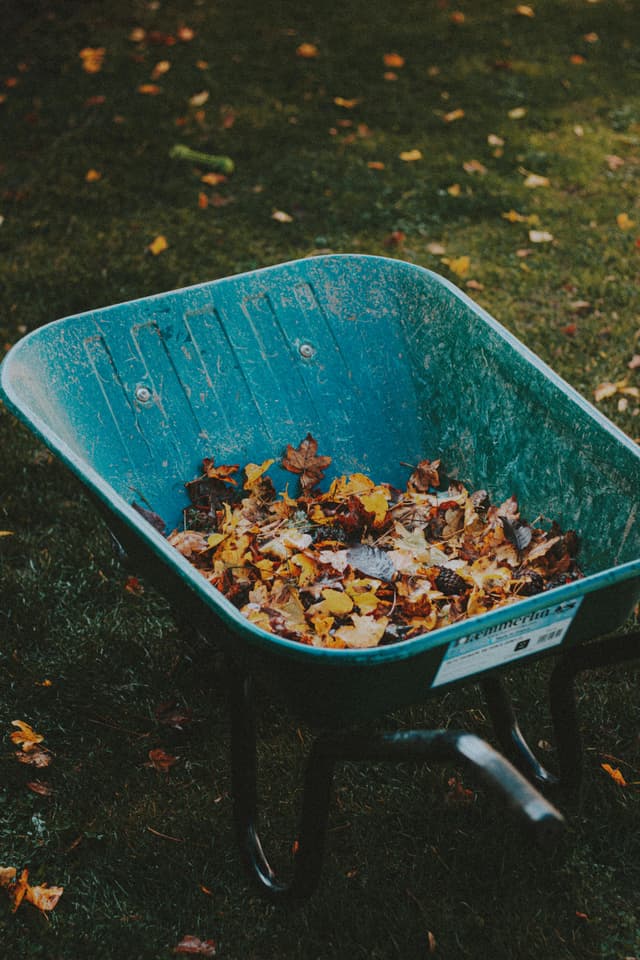 Cleanups