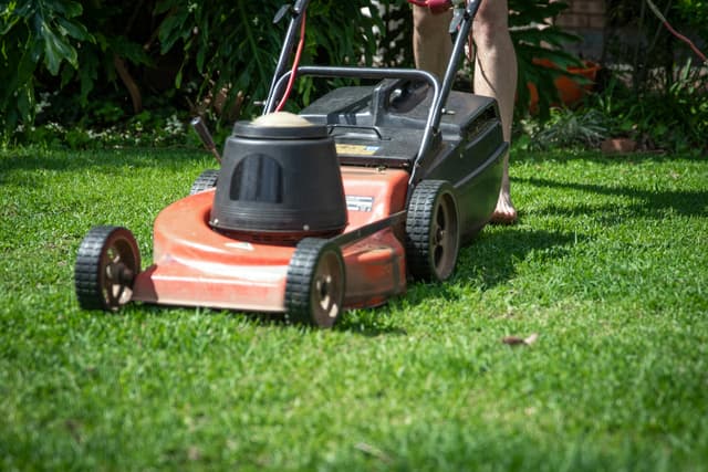 Mowing