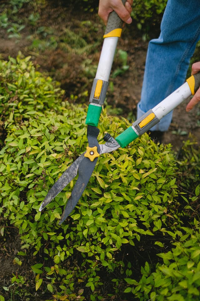 Trimming